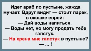 Идет араб по пустыне... Пикантные, Смешные, Остренькие, Жизненные Анекдоты! Юмор! Смех! Позитив!
