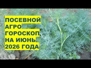 Посевной календарь июня 2026: не упустите важные даты!
