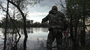 Тихий клёв под кустом: Рыбалка на озере с поплавком  🎣