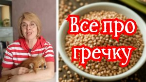 Все про гречку: польза, вред, КБЖУ, глик. индекс и конечно много рецептов. Кулинарный ликбез