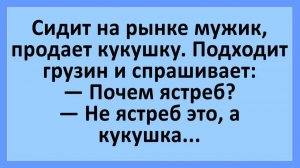 Мужик на рынке продает кукушку... | Анекдоты смешные | Юмор