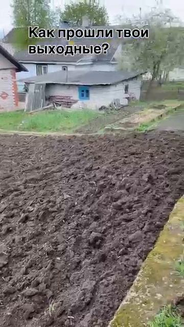 Как прошли твои выходные