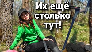ВОСТОРГ ОТ КАЖДОЙ НАХОДКИ! Поиск старины с металлоискателем.