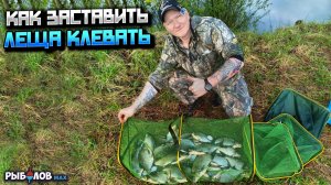 Капризный фидер весной. Как заставить леща клевать