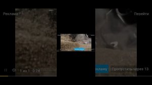 ясмина18к тупая