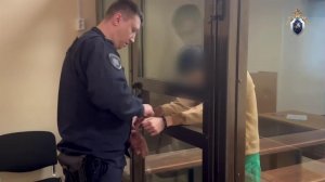 Напавшего с ножом на семилетнюю девочку в Наро-Фоминске взяли под стражу: видео.