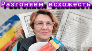 Морковь взойдёт очень быстро!👍