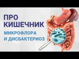 Микрофлора кишечника. Дисбактериоз кишечника