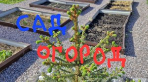 Сад и огород