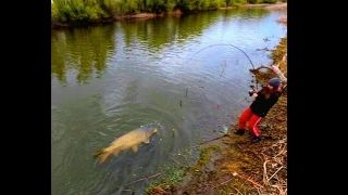 РЫБА МЕЧТЫ  рыбалка на удочку ловля сазана и карася