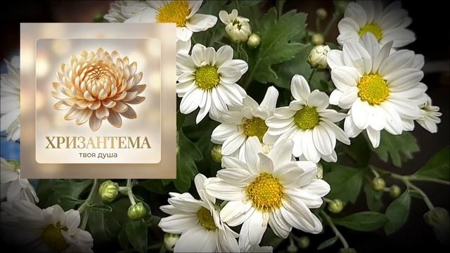 Выберите цветок и узнайте - Какая у вас душа.