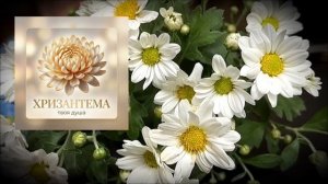 Выберите цветок и узнайте - Какая у вас душа.