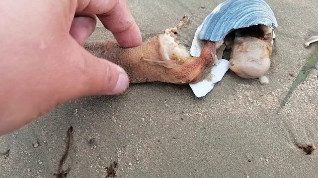 Приколы в Находке