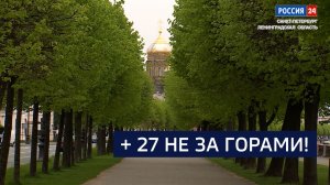 ВЕСТИ 24  Санкт-Петербург от 15.05.2026
