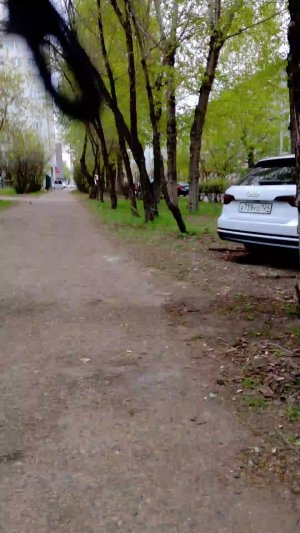 дорога домой 3