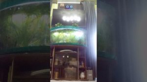 VID_20260515_132137.3gp