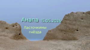 Анапа 15.05.2026 Ласточкины гнёзда