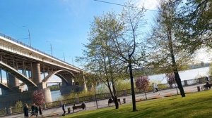 Рубрика  Широка  красота
