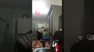 15-05-2026  обед ютуб