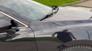 IMG_4905