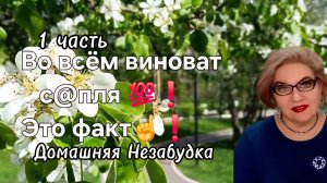 1 часть. Во всём виноват с@пля💯❗️Это факт☝️❗️