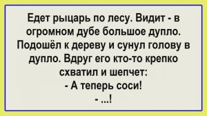 Едет рыцарь по лесу... Пикантные, Смешные, Остренькие, Жизненные Анекдоты! Юмор! Смех! Позитив!