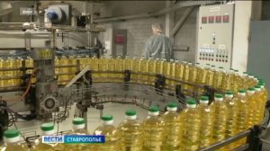 «Вести. Ставропольский край» 15.05.2026 (9.30)