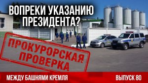 Вопреки указанию президента? / Между башнями Кремля-80