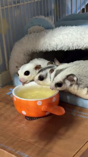 Вкусный суп
