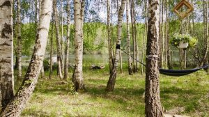 Домики в лесу