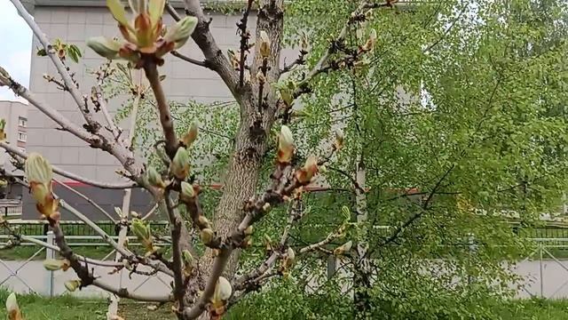 Кто мне подскажет...