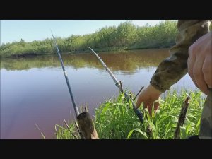 Рыбалка на удочку с поплавком с берега