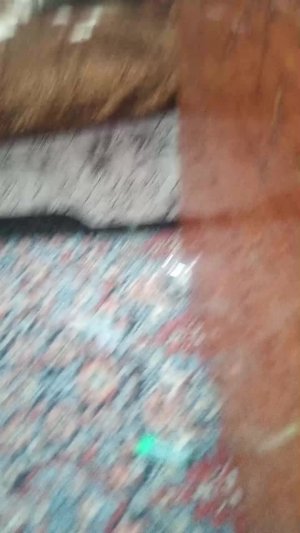 тролю сестру