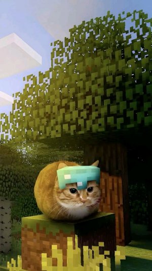 что то рисуем