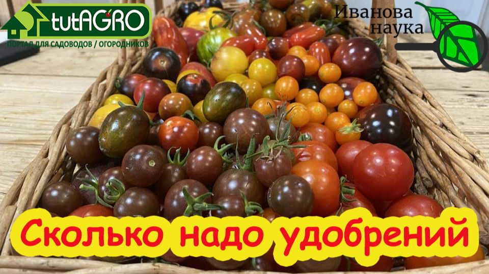 🎯 Сколько НА САМОМ ДЕЛЕ нужно удобрений томатам? Не перекормите! Норма удобрений для помидоров.