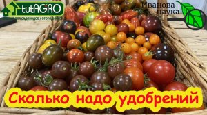 🎯 Сколько НА САМОМ ДЕЛЕ нужно удобрений томатам? Не перекормите! Норма удобрений для помидоров.