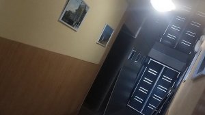 пожарная сигнализация тревога Крым Алушта санаторий голубая волна три кота