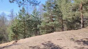 «Лакеи» и подхалимы в работе по найму в организации. Серьезная проблема, которая требует решения