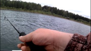 Малукса.