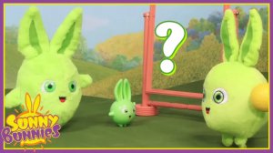 Почему здесь 3 Хоппера？ ｜ Солнечные Зайчики ｜ Игрушки для детей
