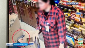 Пьяный грабеж: в Башкортостане задержали мужчину с пневматическим пистолетом
