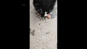 ЭЙ ТОЛСТЫЙ ( 12+)