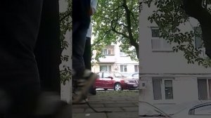 мою сестру побили