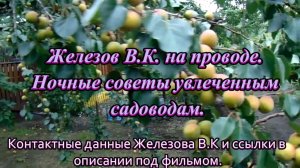 Железов В.К. на проводе. Ночные советы увлеченным садоводам.