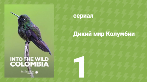 Дикий мир Колумбии 1 серия (документальный сериал, 2018)