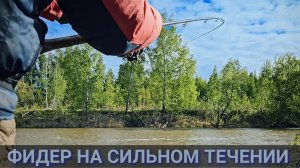 Рыбалка 2026. Ловля фидером на сильном течении. Поклевки на фидер