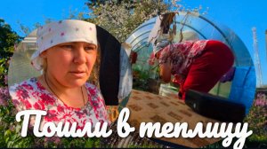 Беру вас с собой в теплицу.Расскажу кое что полезное.