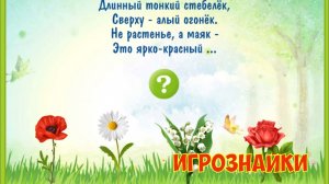Загадки для детей про цветы