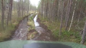 по сырой просеке