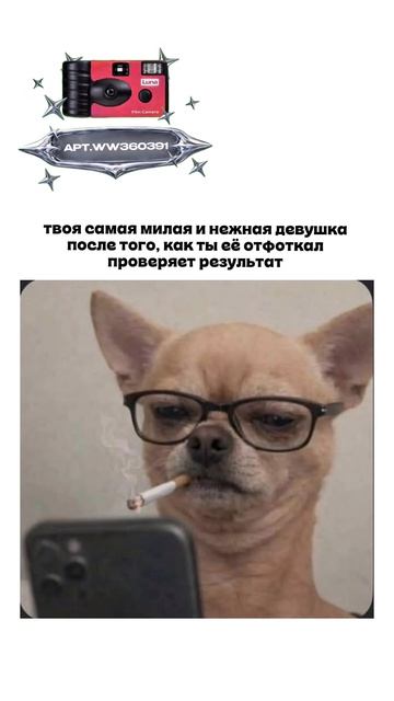 Плёночный фотоаппарат на 36 кадров (Артикул WB: #WW360391)💕